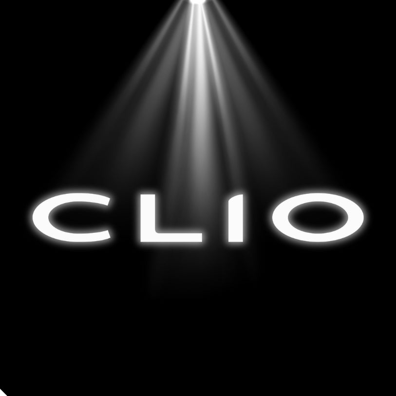 Projecteur Led Porte Logo Renault