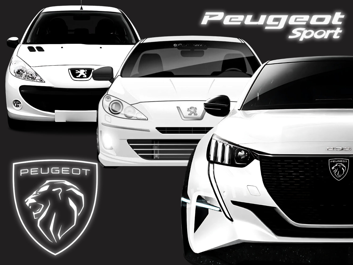 Collection pieces accessoires peugeot sport RS SHOP